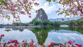 靚，“花神”來襲！肇慶這場(chǎng)活動(dòng)將持續(xù)至4月！