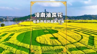 帶你闖進宮崎駿的春天，潼南油菜花海美到封神！今年首次免費開放，如果不來，那就太虧啦！