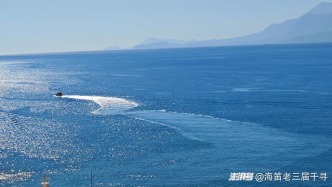 找回失去的真誠
