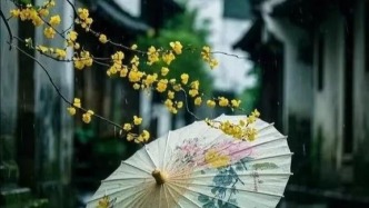 春雨，歡了誰的流年，春風，涼了誰的初見
