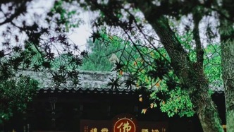 【散文】车窗变画框，870路公交带你穿越龙泉山‖柳红樱 