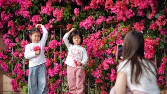 是心动的感觉！这个春天，在肇庆可以这样玩→