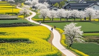 阳光跌进花海时摔碎了棱角，琥珀色的涟漪里，蝴蝶正衔着春天的请柬低飞。