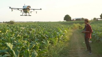 全球智点·全球发展倡议丨世界银行建议发展中国家优化农村发展策略