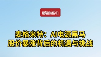 麦格米特：AI电源黑马，股价暴涨背后的机遇与挑战