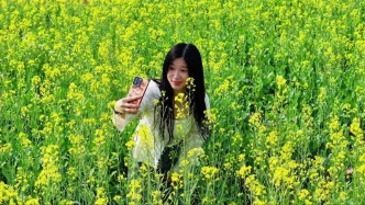 春日限定，花海列車！乘城際來肇慶，收藏打卡攻略→