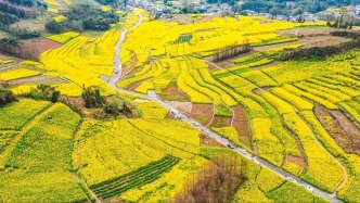 【美丽四川】油菜花开闹姜城‖李靖 