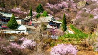 崆峒山景區正式接入DeepSeek大模型開啟AI賦能道源圣地新篇章
