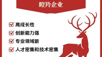 湖南要“搶人”，株洲靠“瞪羚”