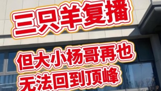 三只羊復播，但大小楊哥再也無法回到頂峰