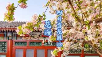 花開有期，滿腦子都是春日花海，這班是非上不可嗎？