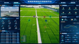 湘西山坳智慧蝶變：科技賦能鄉(xiāng)村振興的桂英樣本