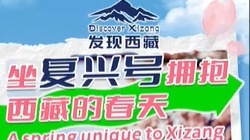 西藏限定春日