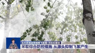 北方多地進(jìn)入楊柳飛絮期，“過(guò)敏星人”請(qǐng)收好這份注意事項(xiàng)