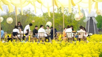 清明假期狂揽152万游客！湖州百花盛宴火出圈