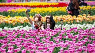 賞花游拉動旅游消費，“新銀發”成為消費主力軍