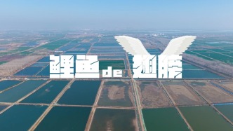電信科技助力打造物聯網智慧漁業平臺 賦能江蘇東海鯉魚鮮味“出圈”！