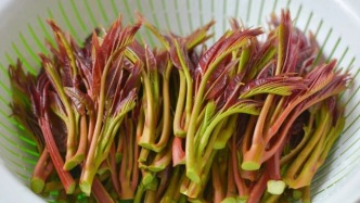 “春季限定”大量上市，醫(yī)生提醒：別亂吃！胃可能扛不住