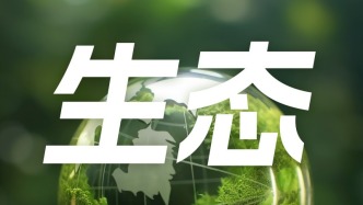 局地達13級！華北為何將現歷史罕見大風？威力多大？