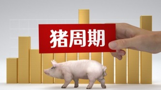 豬企集體進入“賺錢模式”