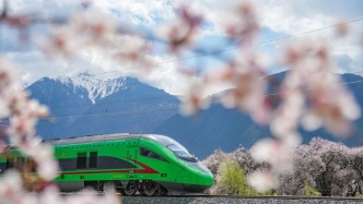 文旅新探｜乘坐高原复兴号，寻访藏家桃花香
