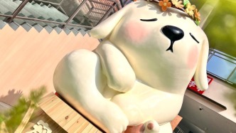 玩转“它经济”，商场打造宠物友好空间成引流新密码