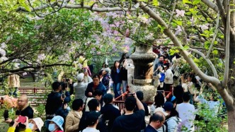 提振消費擴內需｜政策熱市場暖，激發文旅消費潛力