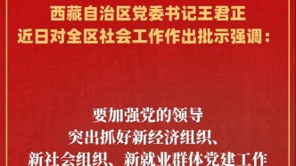 王君正對全區社會工作作出批示