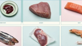 爆賣5000萬份，這家人食級英國寵物品牌獲近億元融資