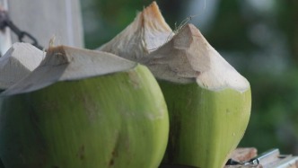 if椰子水要被中国人喝上市了？椰子水咋这么赚钱？