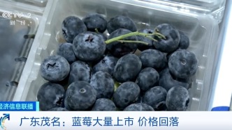 降！降！降！價格“腰斬”！大量上市了！