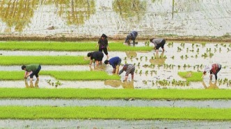 衡阳衡东县吴集镇：春日农事忙