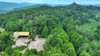 【资治】翠云廊古柏历史文化价值研究‖张忠仁