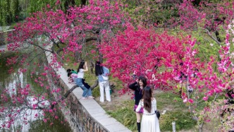 鄭州人民公園：仲春時節(jié)百花開，游人打卡拍照來
