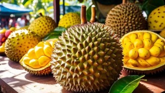 “榴莲大王”邓洪九,走进至暗时刻