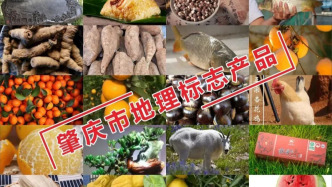 領(lǐng)跑全省！肇慶地理標(biāo)志品牌優(yōu)勢如何更好“變現(xiàn)”？