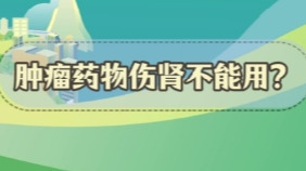 謠言粉碎站 | 腫瘤藥物傷腎不能用？