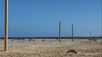 環保人士痛心疾呼：埃及旅游業正在摧毀紅海原始海灘！