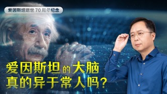 汪詰：70年前，愛因斯坦的大腦被完整取出，它真的異于常人嗎？