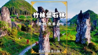 貴州雙乳峰前，發現一片絕美石林，堪稱景美人少的地質奇觀