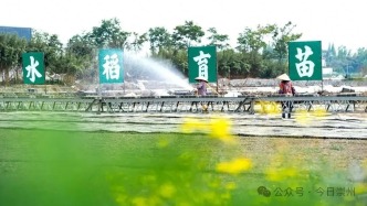 進度超60%！預計四月底完成
