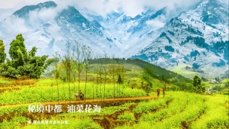 【美麗四川】秘境中都 油菜花海 