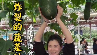 探秘壽光蔬菜博覽會，都上了哪些黑科技？