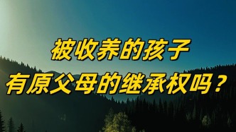 收養還是代養？兩者之間的繼承權大不同
