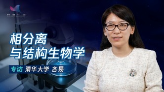 生物相分離：從基礎研究到醫學應用