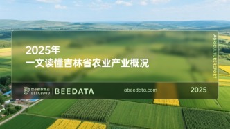 吉林農業全景：黑土地上的豐收密碼