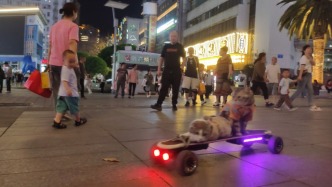重慶街頭現兩只萌貓乘坐酷炫電動滑板車“沖浪” 萌翻圍觀市民