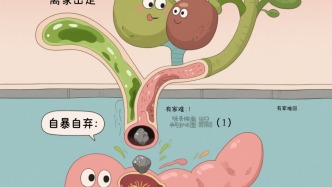 當膽囊里的小石頭開始“作妖”：膽源性胰腺炎的自白書