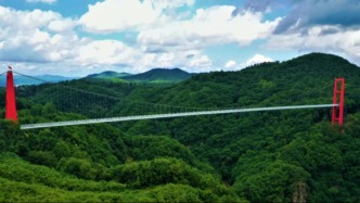 五一邂逅莲花山：超全出游攻略与深度体验分享