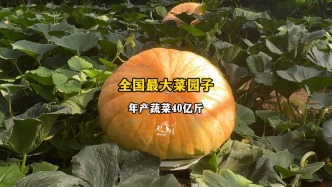 年產值超1000億，把自己種成全國最大菜籃子，山東壽光是怎么做到的